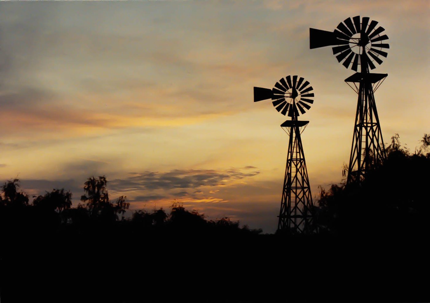 Windmills on the West Texas plains